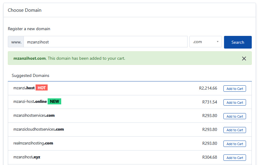 How to choose the right domain name